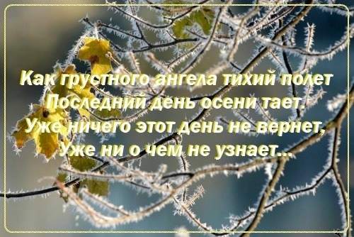 http://img0.liveinternet.ru/images/attach/c/9/107/585/107585246_oszima1.jpg