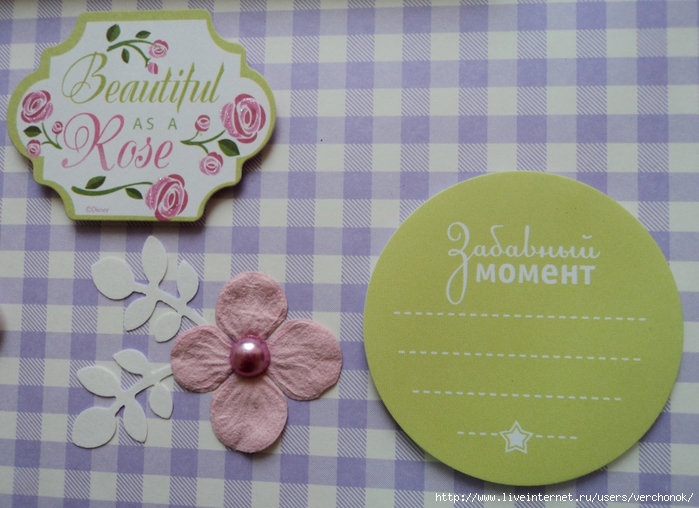 DSC03169 (700x508, 266Kb)