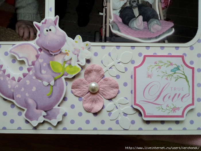 DSC03181 (700x525, 277Kb)