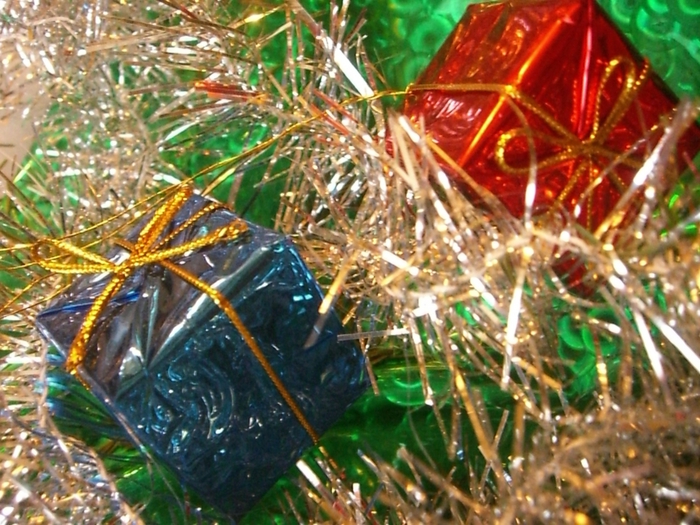 3340980_CIMG4749 (700x525, 333Kb)