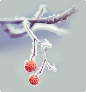_ (300x319, 93Kb)