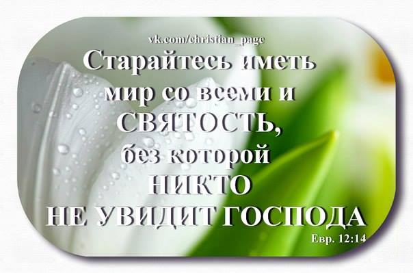 Слово живого бога. Стихи из Библии. Святость и чистота. Имейте мир со всеми и святость без которой никто не увидит Господа. Христианские открытки со стихами из Библии о святости.