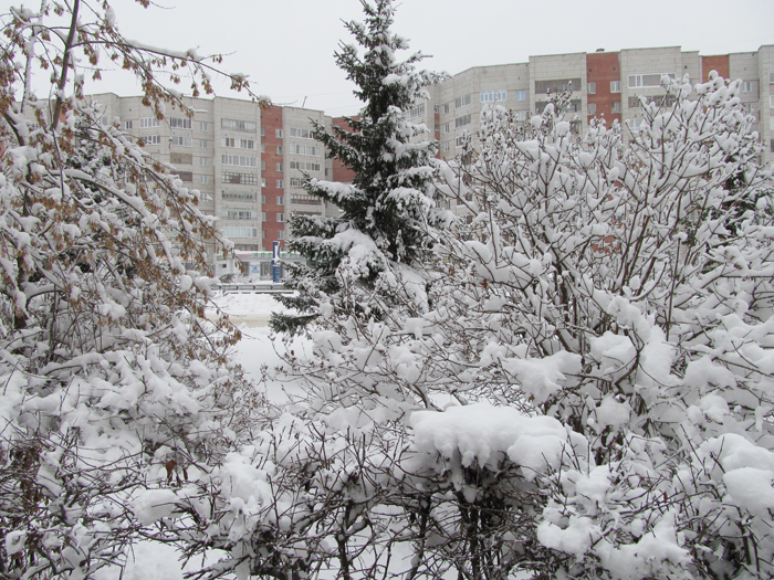 Погода в северске томской. Северск Томская область зима. Северск Томская область зимой. Город Северск Сибирь. Северск растительность.