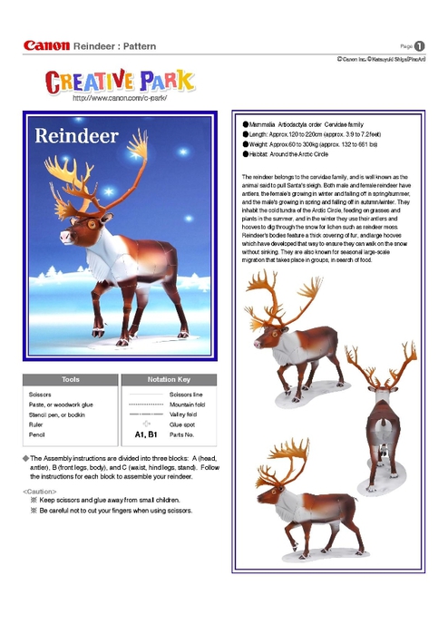 reindeer_e_a4-page-001 (494x700, 156Kb)