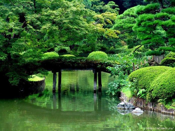 Сад  икугиэн Rikugien garden (яп. 六義園  икугиэн) 15 (700x525, 416Kb)