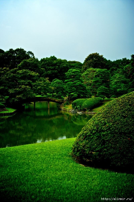 Сад  икугиэн Rikugien garden (яп. 六義園  икугиэн) 13 (465x700, 273Kb)