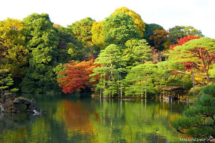 Сад  икугиэн Rikugien garden (яп. 六義園  икугиэн) 3 (700x465, 328Kb)