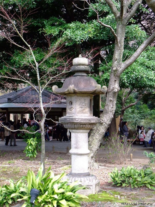 Сад  икугиэн Rikugien garden (яп. 六義園  икугиэн) 2 (525x700, 436Kb)