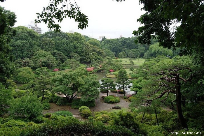Сад  икугиэн Rikugien garden (яп. 六義園  икугиэн) (700x467, 339Kb)