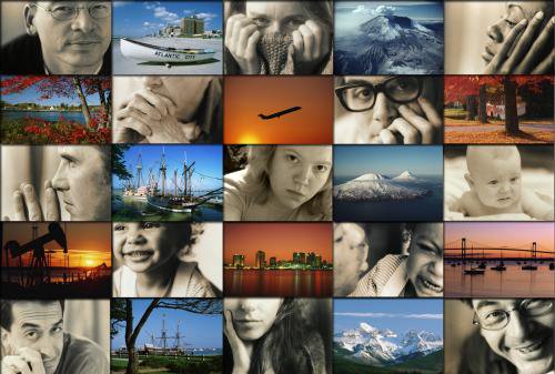 ___camomila__ (500x337, 49Kb)