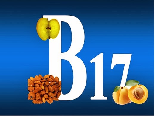 vitamin-B171(2)[7] (520x389, 30Kb)