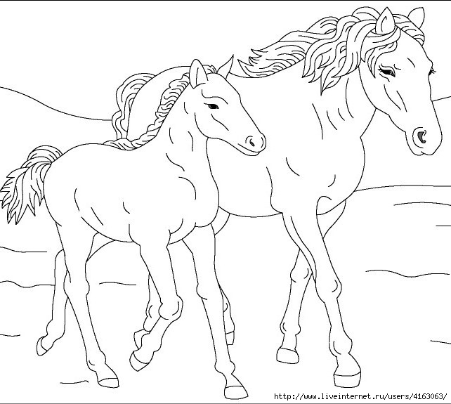 Horse-shablon (642x575, 146Kb)
