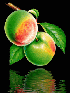 GGiPhone.com_AAT_GIF240x320 (240x320, 137Kb)