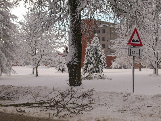 posledstvija (560x420, 121Kb)