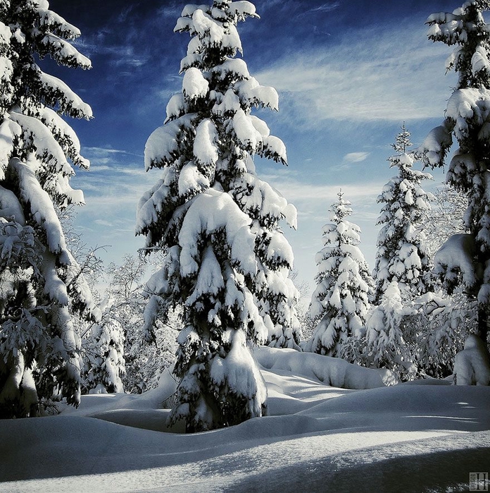 WinterLandscapes19 (696x700, 439Kb)