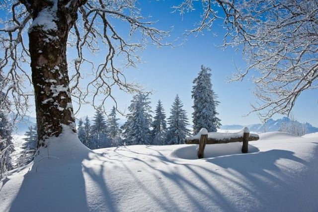 getImage (39) (640x427, 188Kb)