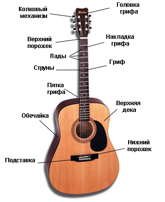 gitara (340x417, 83Kb)