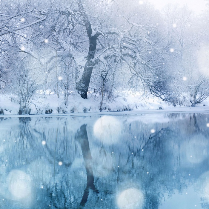 image (700x700, 212Kb)