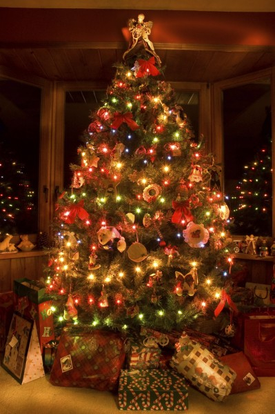 christmas-tree-4-399x600 (399x600, 278Kb)