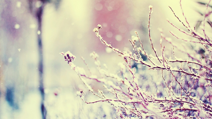 280936-1366x768 (700x393, 201Kb)