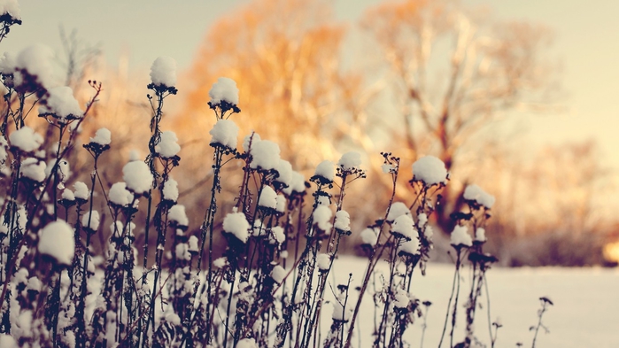 398051-1366x768 (700x393, 206Kb)
