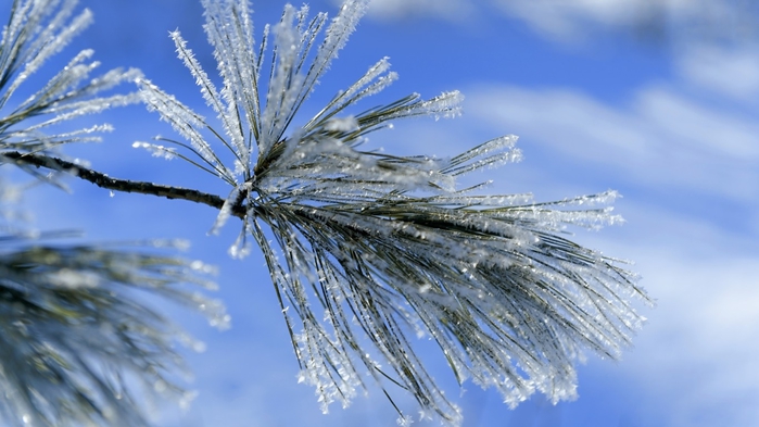 523361-1366x768 (700x393, 192Kb)