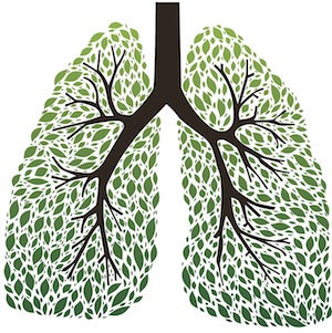 green-lungs (300x301, 56Kb)