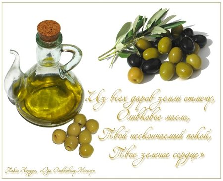 2681762_olive_oil_main (450x364, 33Kb)
