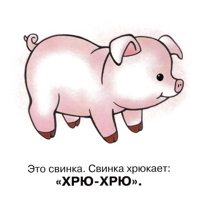 Свинья картинка с надписью, открытку английскому
