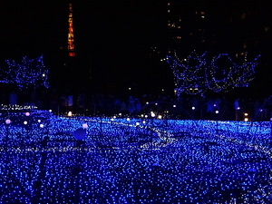 1 pic (300x225, 106Kb)
