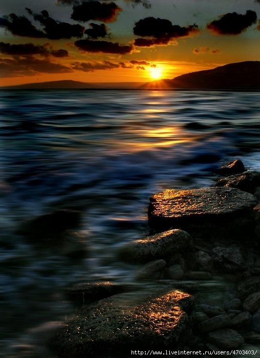 107988543_large_33 (508x699, 230Kb)