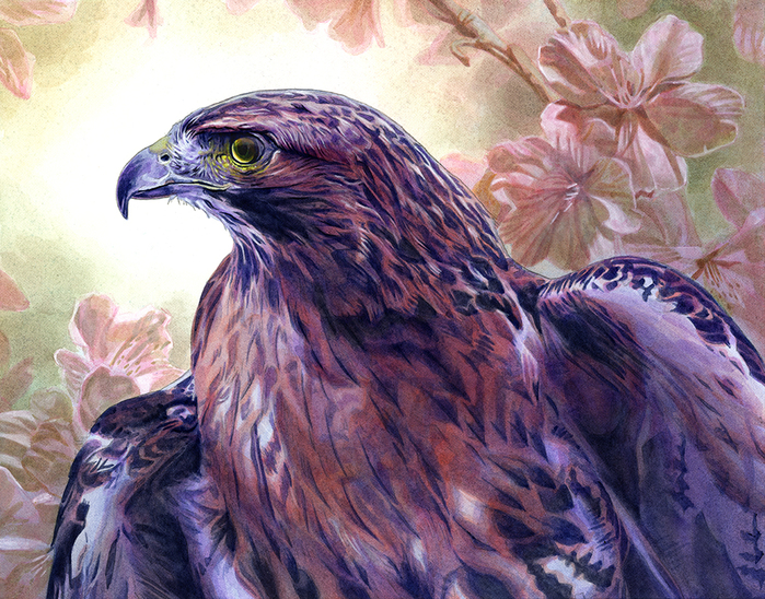 3623822_Alan_Hawley6 (700x548, 525Kb)