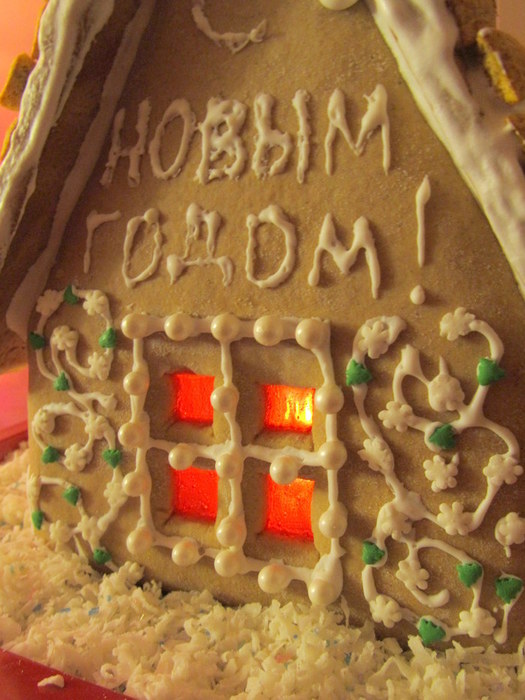 1387402542_IMG_0053 (525x700, 94Kb)