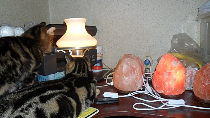 3821971_SAM_7288 (700x394, 94Kb)