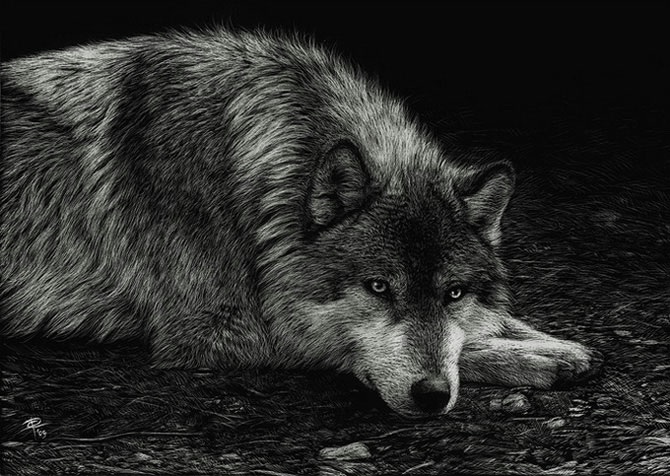 3623822_k01 (670x476, 203Kb)