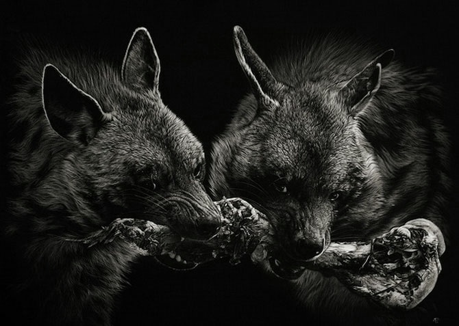 3623822_k08 (670x477, 137Kb)
