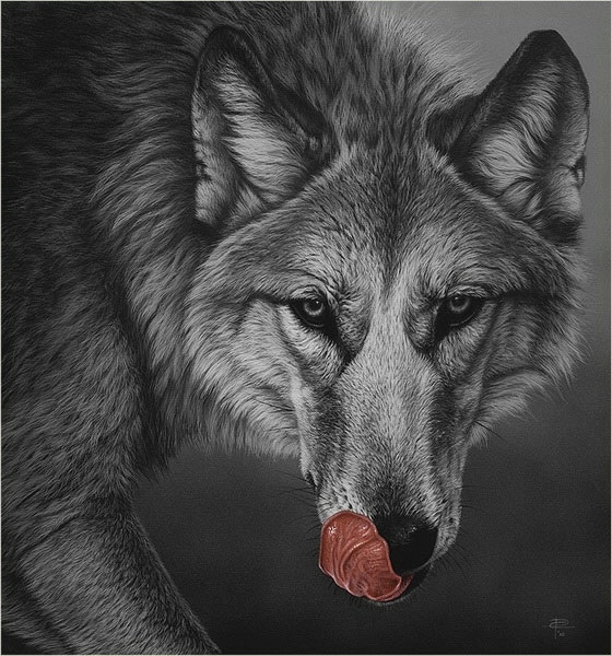 3623822_k10 (560x600, 220Kb)