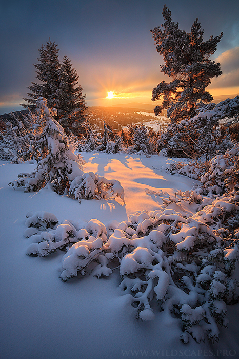 instant_of_light_by_maximecourty-d5oas87 (466x700, 552Kb)