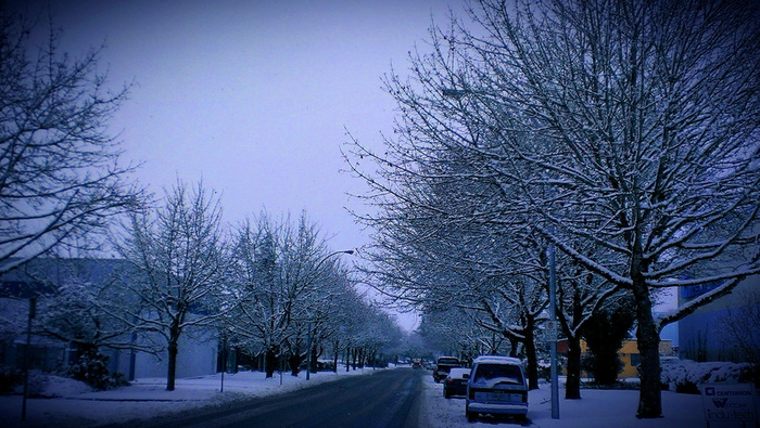 IMAG3541_1 (700x395, 190Kb)