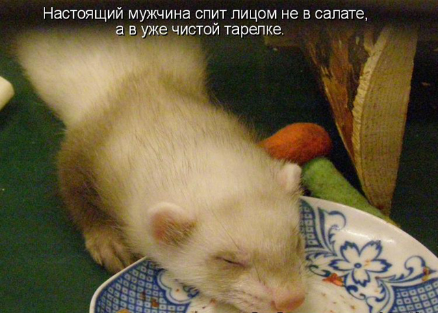 4878453_sal11t (640x457, 188Kb)