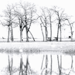 879803832 (150x150, 52Kb)