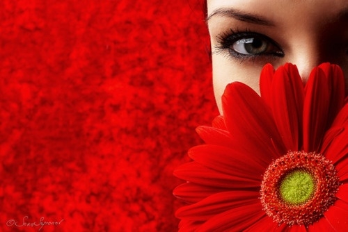 9f5a141f501414016ec1de82b14a2f7e (500x334, 94Kb)