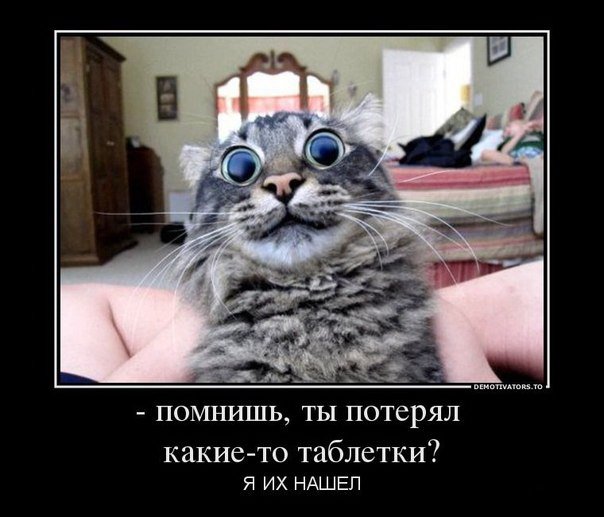 5402287_1369803019_5_1_ (604x517, 55Kb)