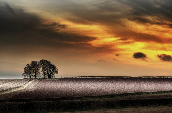0b94a49a65ab71f7270a2c4b680a5683_96548 (600x395, 148Kb)