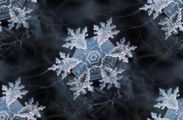 6b91a61c4deb4af308ee70881176109f_b (600x393, 191Kb)