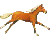 93698b833245fb89faa4b37763e062d2 (160x120, 25Kb)