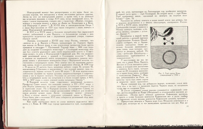 Р СѓСЃСЃРєРѕРµ С€РёС‚СЊС‘ Р¶РµРјС‡СѓРіРѕРј 05 (700x443, 257Kb)