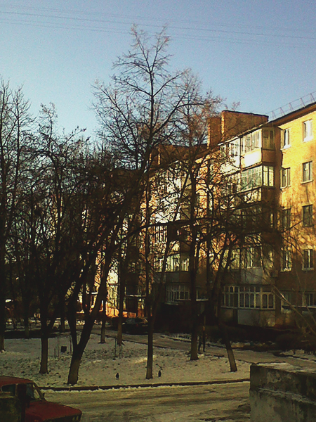 IMG00614-20131214-1020 (450x600, 441Kb)