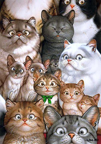getImage (2) (337x480, 40Kb)