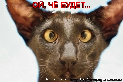 original (480x320, 91Kb)